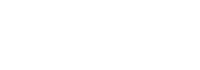 Meta Business Partner