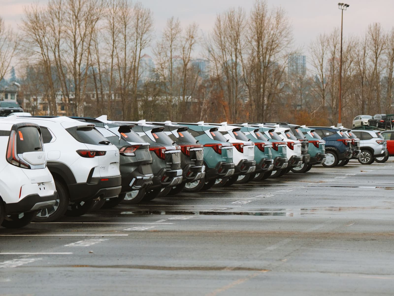 Car dealerships, vehicle retailers, and automotive service providers