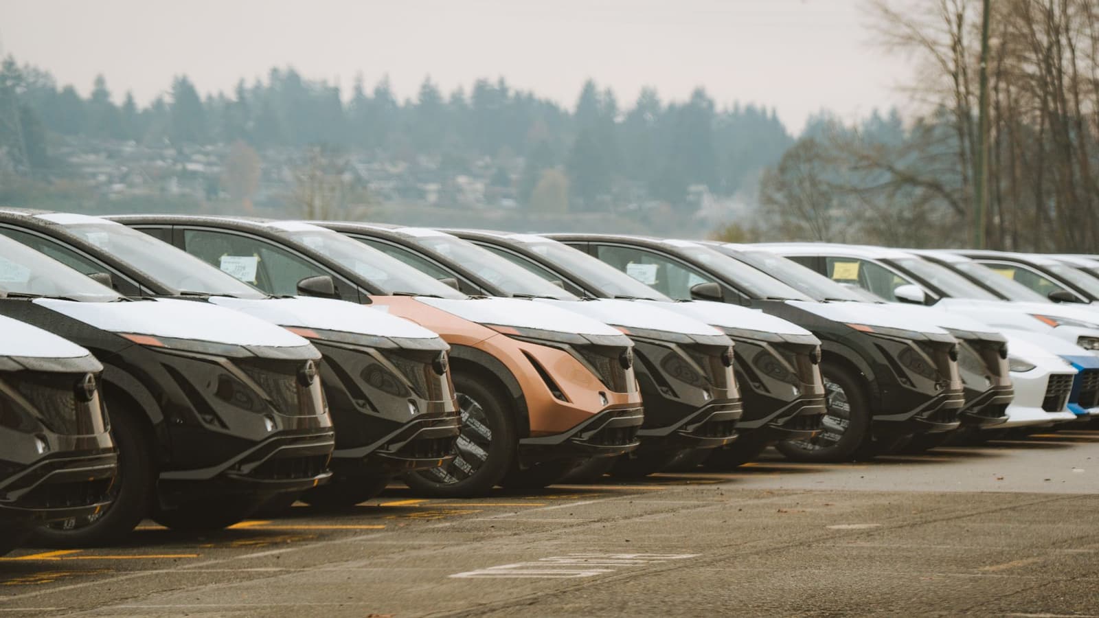 Car dealerships, vehicle retailers, and automotive service providers