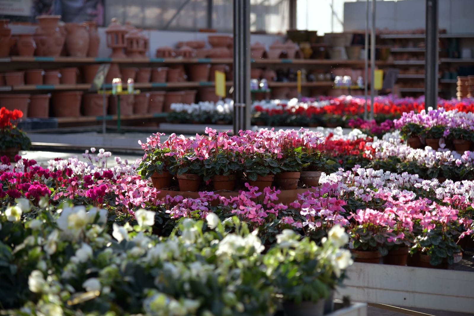 Garden centres